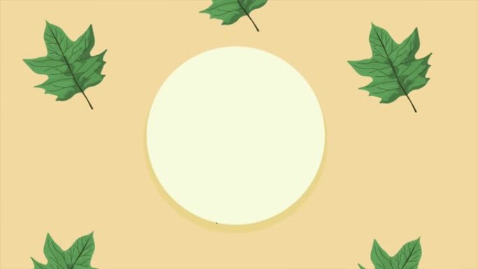 奶油背景下圆形框架的叶子生态动画