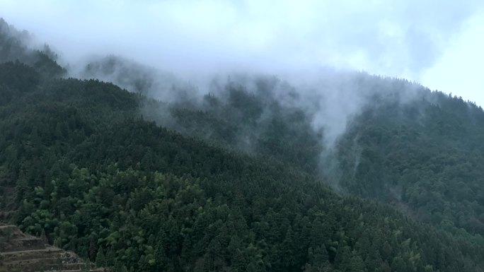 清晨的山间雨雾茫茫