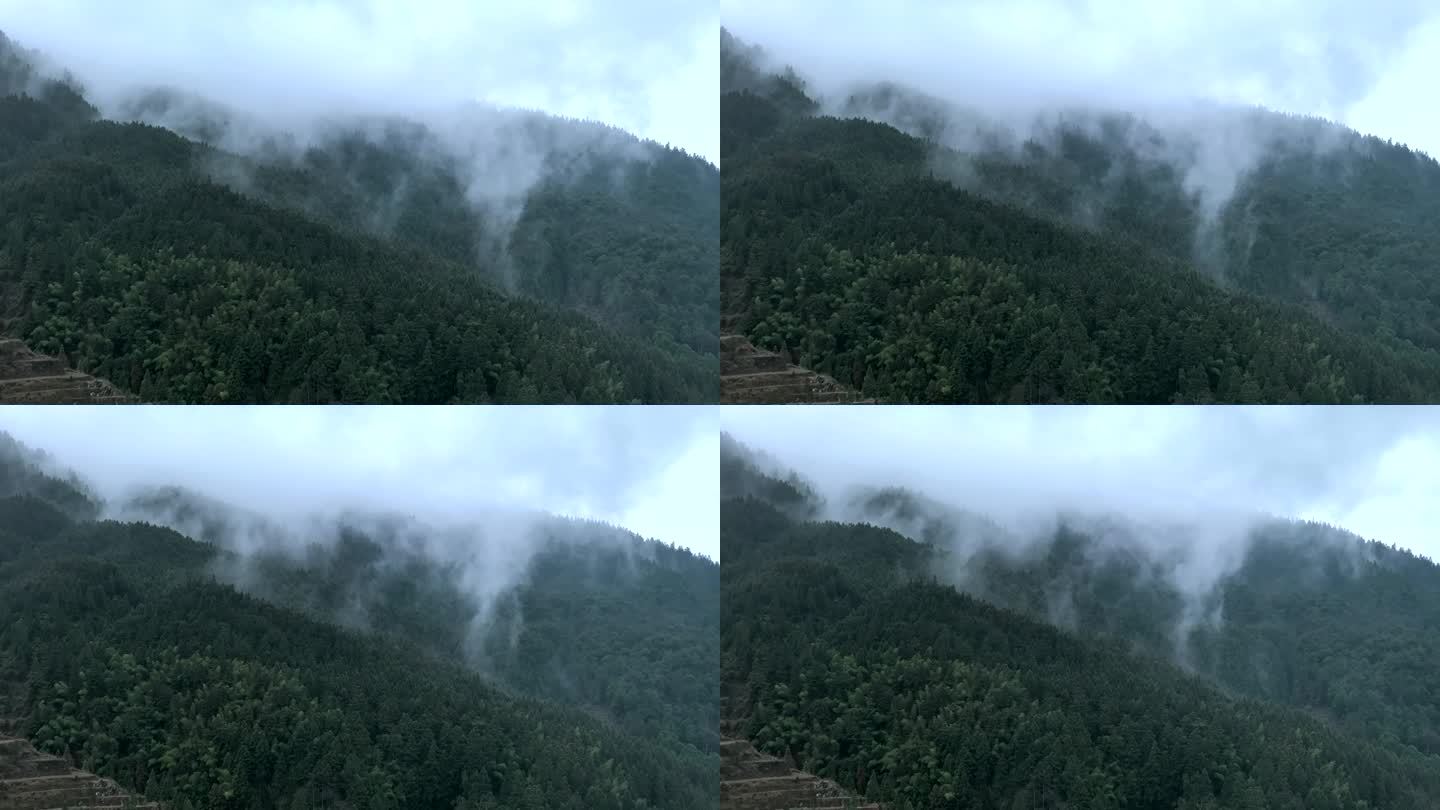 清晨的山间雨雾茫茫