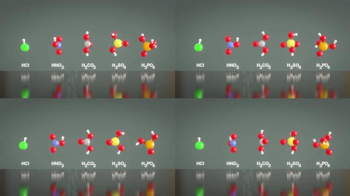 酸分子HCl，HNO3，H2CO3，H2SO4和H3PO4旋转模型的无缝环。原子颜色: 氢白色、碳灰