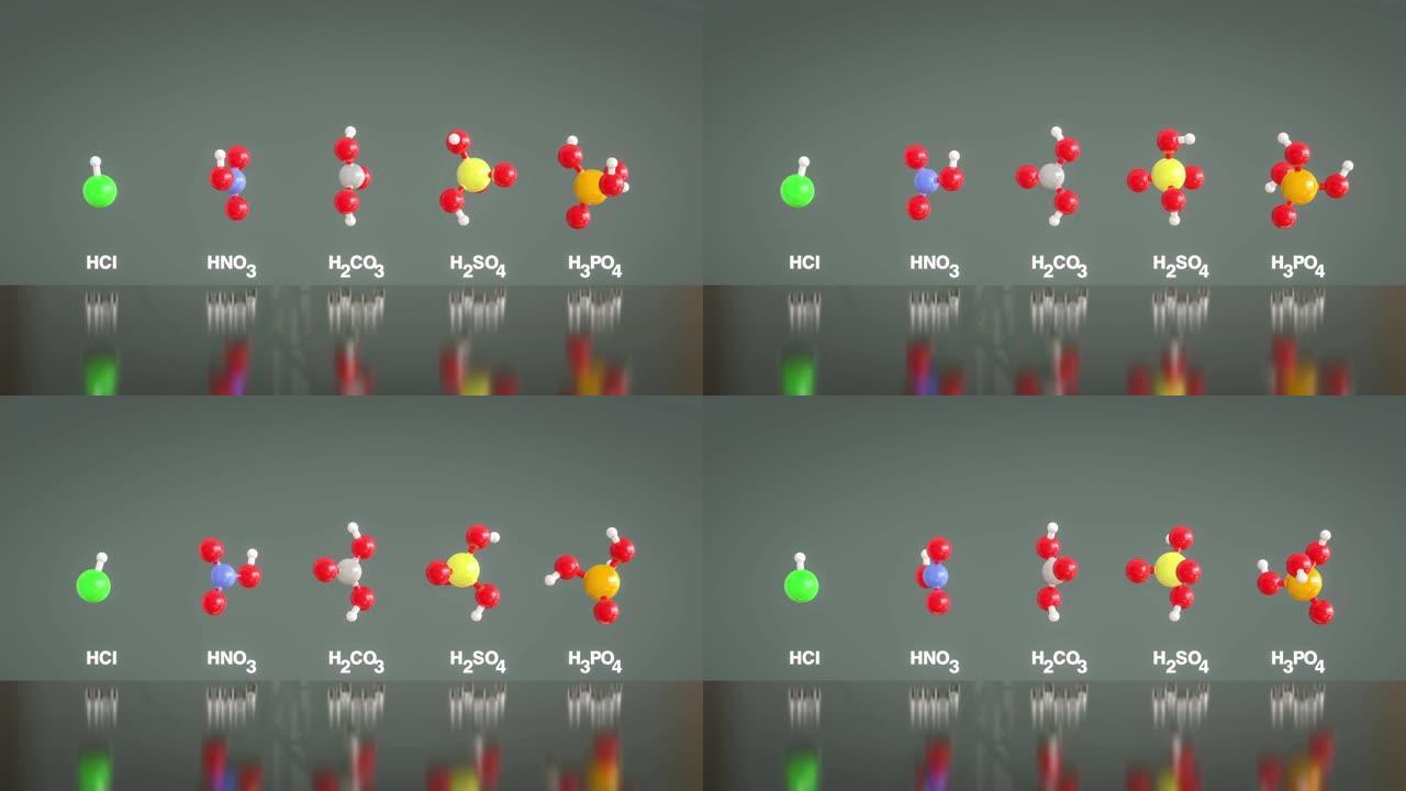 酸分子HCl，HNO3，H2CO3，H2SO4和H3PO4旋转模型的无缝环。原子颜色: 氢白色、碳灰