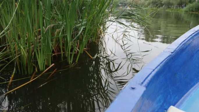 小木船漂浮在湖上。沿着湖航行的小船的特写视图。蓝色船与莎草一起在绿色湖上航行。