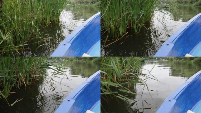 小木船漂浮在湖上。沿着湖航行的小船的特写视图。蓝色船与莎草一起在绿色湖上航行。