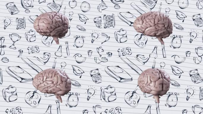 大脑在白色衬纸上旋转反对学校概念图标