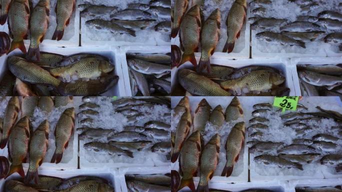 渔夫鲜鱼，渔夫长凳上出售的海鲜，渔货摊上出售的海鲜，