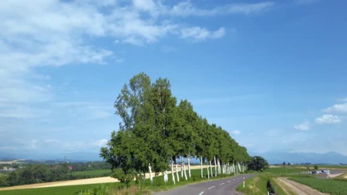 道路 (北海道美伊)