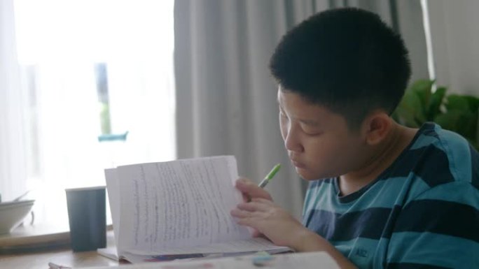 亚洲青春期男孩在家做作业，教育理念。