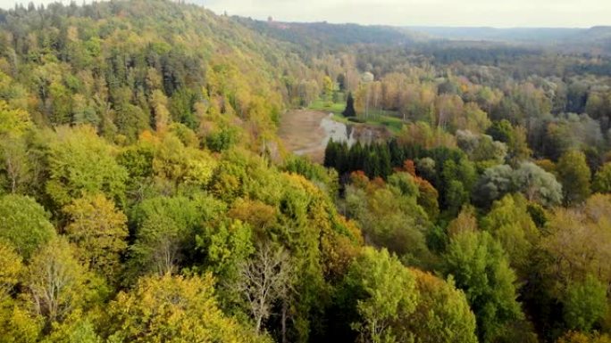 在阳光明媚的日子里，在五颜六色的秋天森林树梢上飞行。拉脱维亚，图拉达