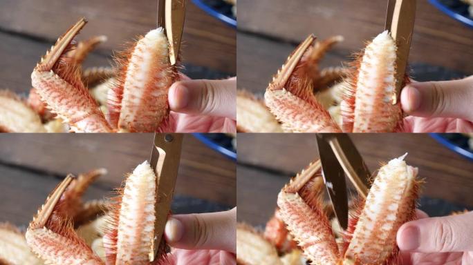 日本马毛蟹。用剪刀剪螃蟹腿的视频。