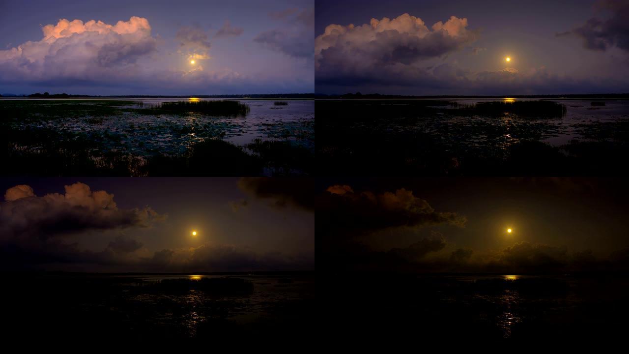 斯里兰卡南部沿海湿地上的月亮升起