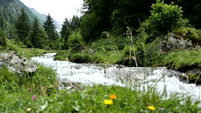 阿尔卑斯山河流经奥地利蒂罗尔州的Schwarzachtal山谷。
