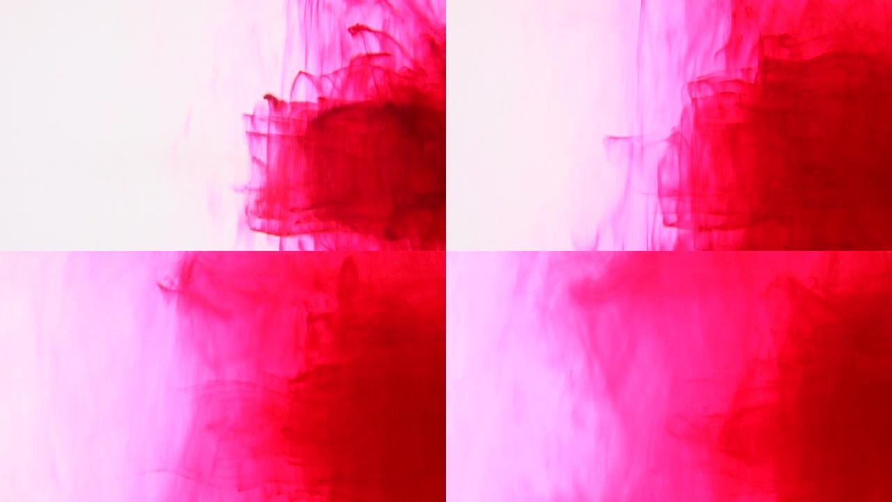 实验红色墨水以涡旋形状旋转，以获得独特的抽象背景