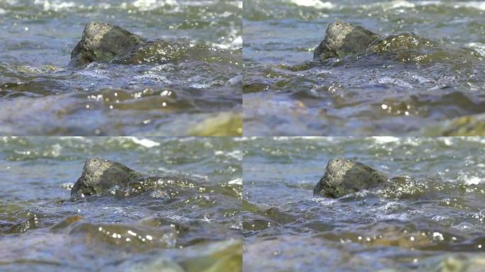 流动的水包裹着石头