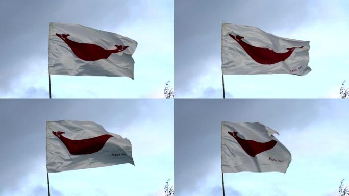 拉皮努伊当地复活节岛旗帜在风中飘扬近距离拍摄