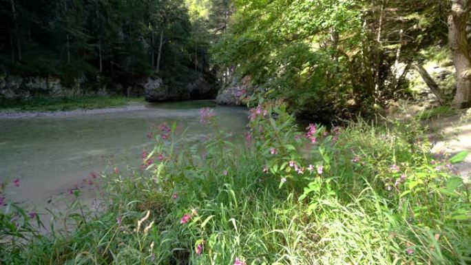 山河森林海氧吧瀑布溪流水