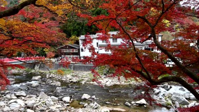 日本Korankei秋天美丽的风景