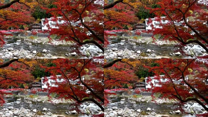 日本Korankei秋天美丽的风景