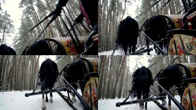 俄罗斯三驾马车，由三匹黑马在森林里拉雪橇。慢动作。高清