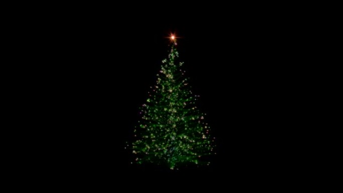 圣诞节日灯树，生长和旋转，亮度哑光