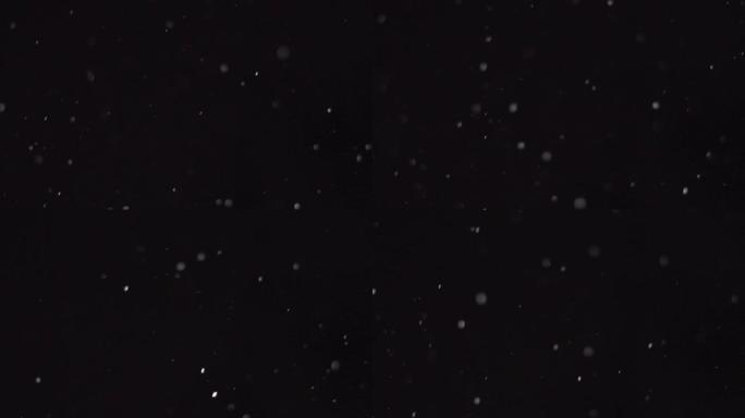 冬天的雪，飘落的雪孤立在黑色背景上，大小雪片