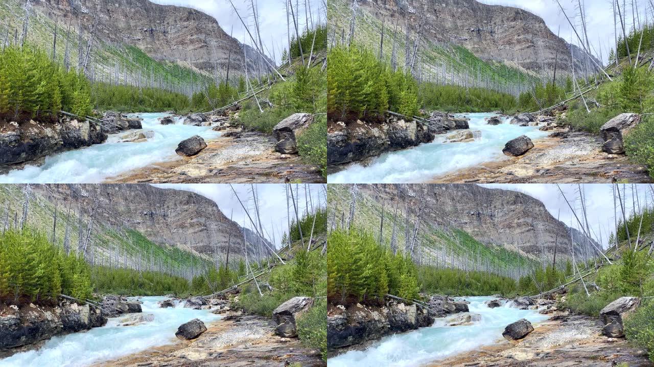 加拿大不列颠哥伦比亚省大理石峡谷的库特尼河瀑布