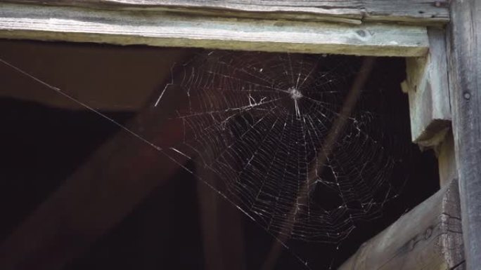 旧谷仓门角的蜘蛛网/手持