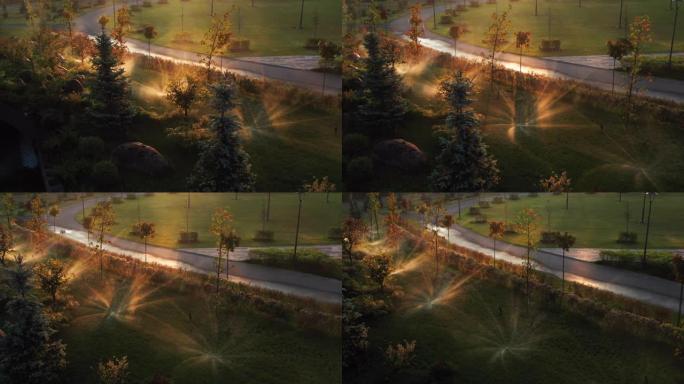 黎明时在公园自动浇水