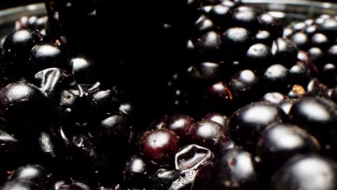 金属容器中的多汁黑莓极端近距离视图