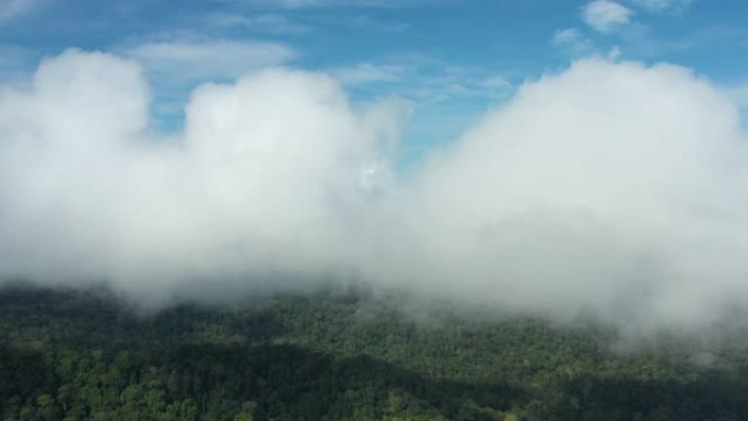 从上面看，热带雨林的惊人鸟瞰图，白天树木释放云层和水蒸气。马来西亚塔曼内加拉国家公园。