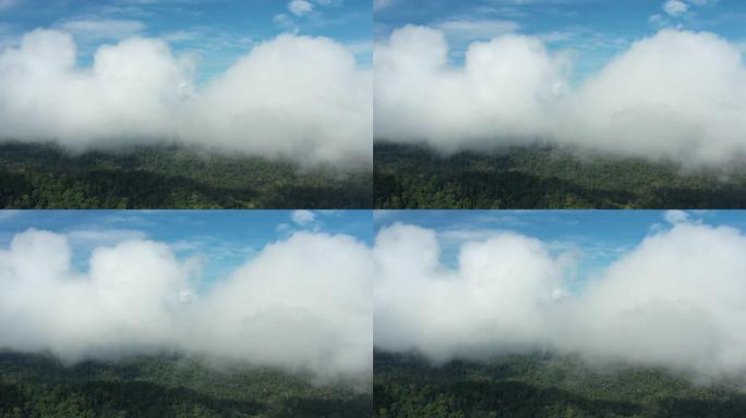 从上面看，热带雨林的惊人鸟瞰图，白天树木释放云层和水蒸气。马来西亚塔曼内加拉国家公园。