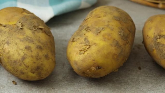 从花园里采摘的新鲜弗里斯兰德土豆