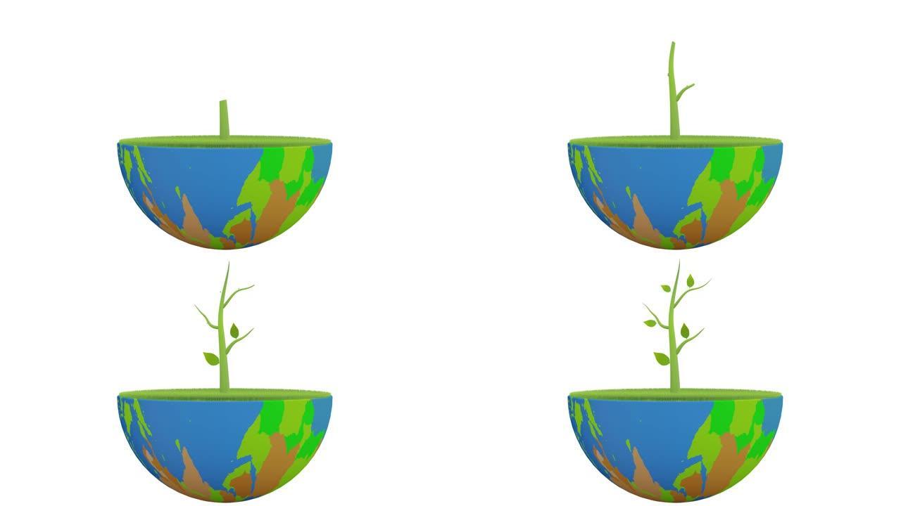 植物生长绿色地球3d动画