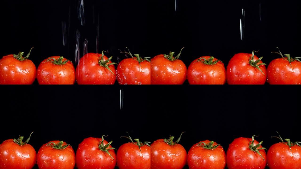 在成熟的西红柿上落下的水滴。