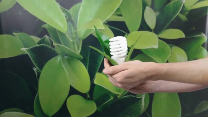 手持发光二极管灯泡，照明包裹在绿色自然背景上的绿叶中。生态节能概念。世界环境日。想想绿色。复制空间