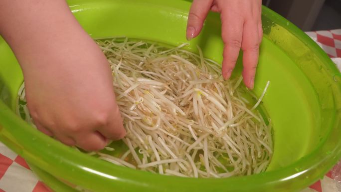 清洗绿豆芽捞出控水 (1)
