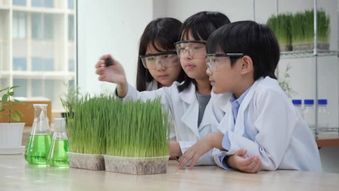 亚洲学生男孩和女孩在教室里实验农业。智能农业中的学生提取叶绿素。教育、农业和技术的概念。