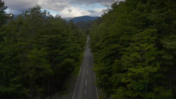 空中之路和高大森林，智利，南美洲，瓦拉斯港