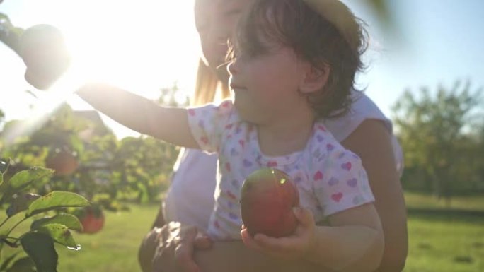 美丽无辜的女婴在苹果园与母亲玩得开心