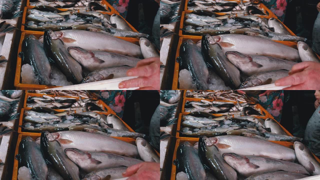 海鲜街市场展示柜上出售的新鲜冰上海鱼