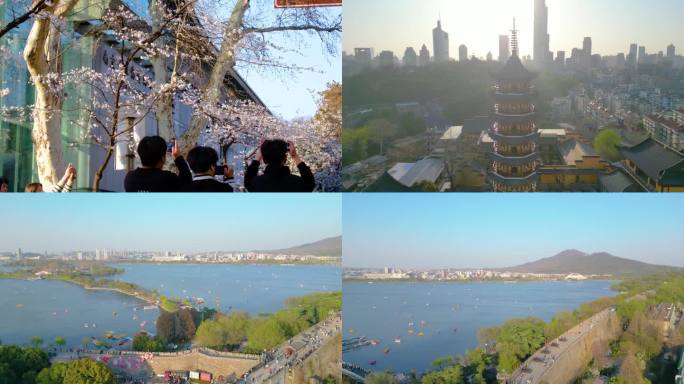 南京玄武区玄武湖景区古鸡鸣寺游客观赏樱花