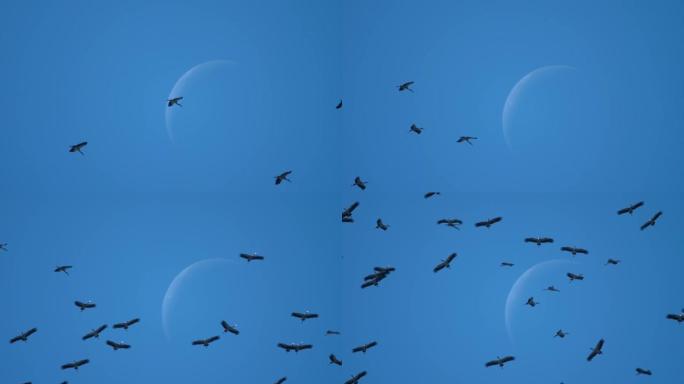 亚洲开放的鸟群对抗月亮的新月