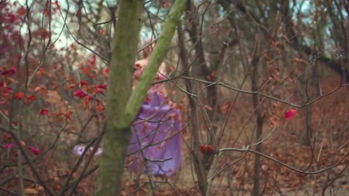 穿着紫色长裙的金发年轻公主在树林里散步，在光秃秃的秋树间，留着红叶。复古魅力发型，收集头发，银色皇冠