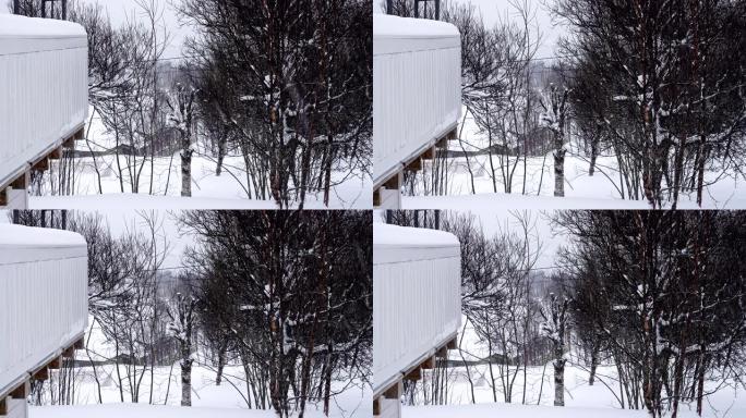 挪威乡村大雪期间带有经典木屋的冬季景观