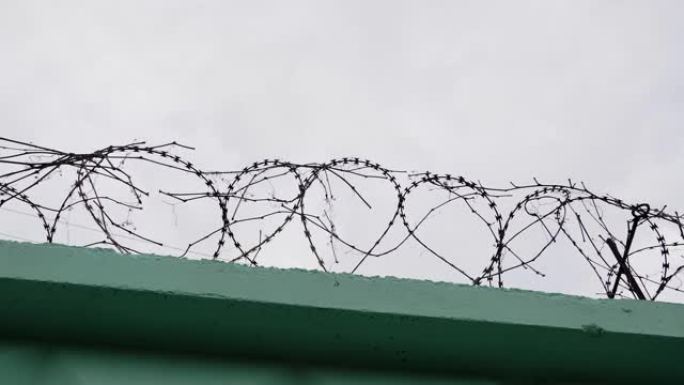 监狱里的铁丝网。带倒钩的监狱铁丝网。绿色围栏，铁丝网对着灰色的天空。