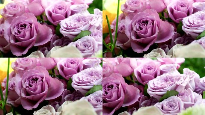 花店中大束明亮的新鲜紫丁香玫瑰的特写镜头。4K