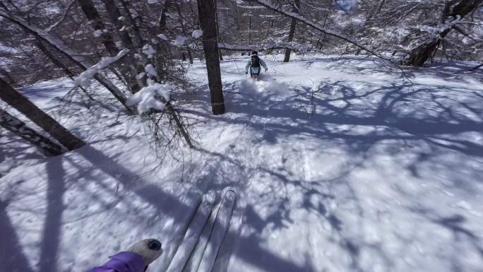 野雪小树林双板滑雪跟拍4K