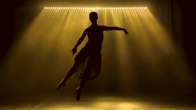专业芭蕾舞演员在舞台上的聚光灯和烟雾中跳舞芭蕾舞。美丽苗条身材的轮廓。慢动作