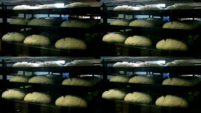 时间流逝，在校对柜的烤盘上种植酵母面包的面团