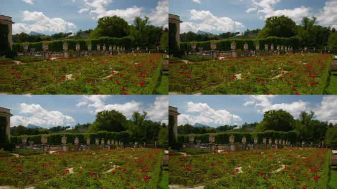 阳光明媚的夏日萨尔茨堡市著名旅游拥挤花园玫瑰慢动作全景4k奥地利