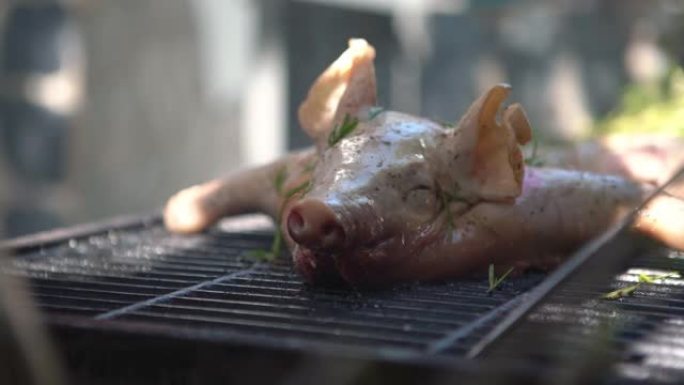 4K，花园屋烧烤全烤猪。家庭烹饪脆皮烤猪肉